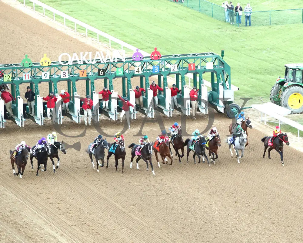 COAL BATTLE - The Rebel Stakes G2 - 02-23-25 - R11 - OP - Start 01 Oaklawn Park