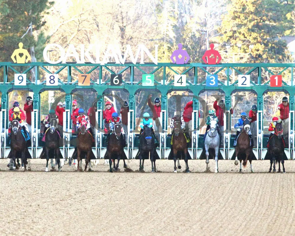 COAL BATTLE - The Rebel Stakes G2 - 02-23-25 - R11 - OP - Start 06 Oaklawn Park