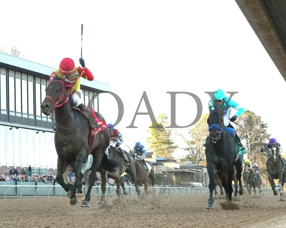 COAL BATTLE - The Rebel Stakes G2 - 02-23-25 - R11 - OP - Under Rail 01 Oaklawn Park