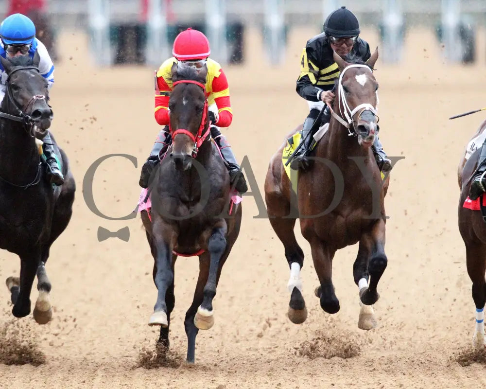 Coal Battle - The Smarty Jones Stakes 01-04-25 R09 Op First Turn 01 Oaklawn Park