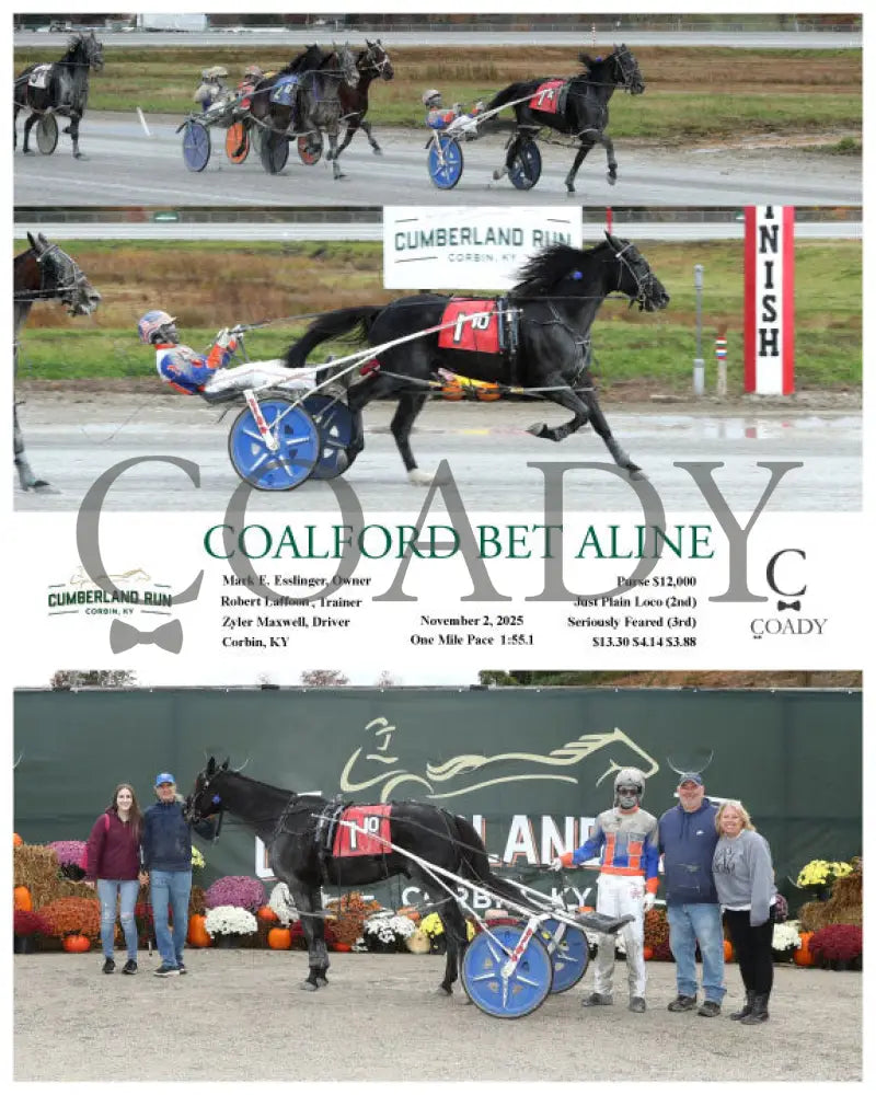 COALFORD BET ALINE - 110225 - Race 10 - CMR Presque Isle Downs
