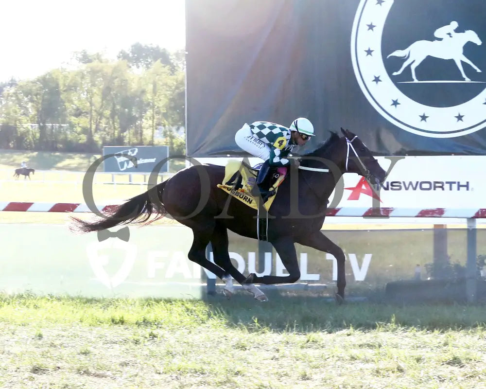 Cogburn - The Ainsworth Turf Sprint G2 09-07-24 R11 Kd Finish 01 Kentucky Downs