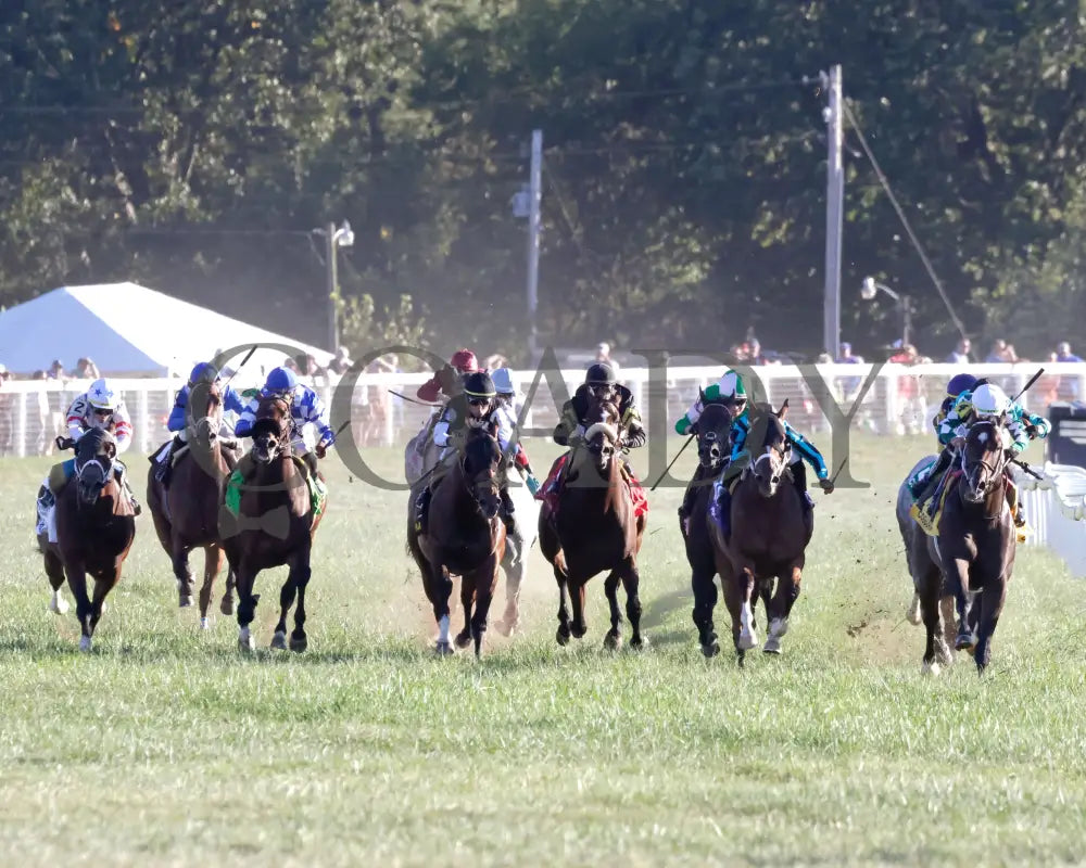 Cogburn - The Ainsworth Turf Sprint G2 09-07-24 R11 Kd Head On 01 Kentucky Downs