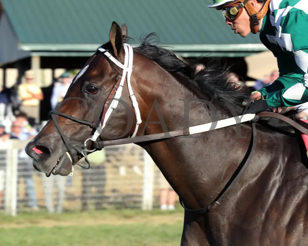 Cogburn - The Ainsworth Turf Sprint G2 09-07-24 R11 Kd Inside Finish 01 Kentucky Downs
