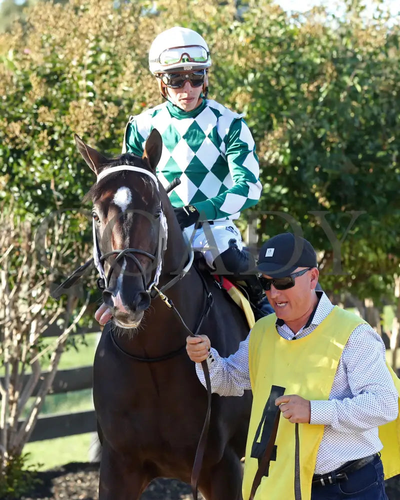 Cogburn - The Ainsworth Turf Sprint G2 09-07-24 R11 Kd Paddock 01 Kentucky Downs