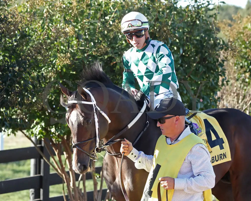 Cogburn - The Ainsworth Turf Sprint G2 09-07-24 R11 Kd Paddock 02 Kentucky Downs