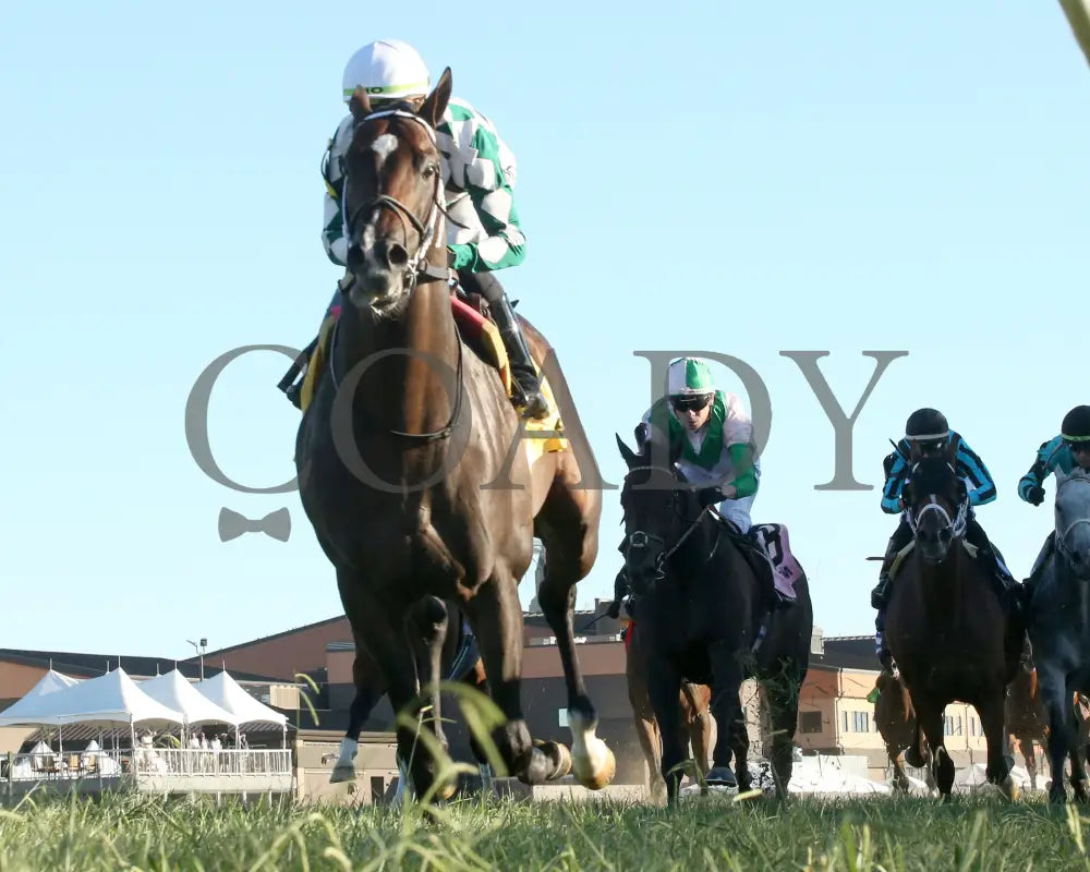 Cogburn - The Ainsworth Turf Sprint G2 09-07-24 R11 Kd Under Rail 01 Kentucky Downs