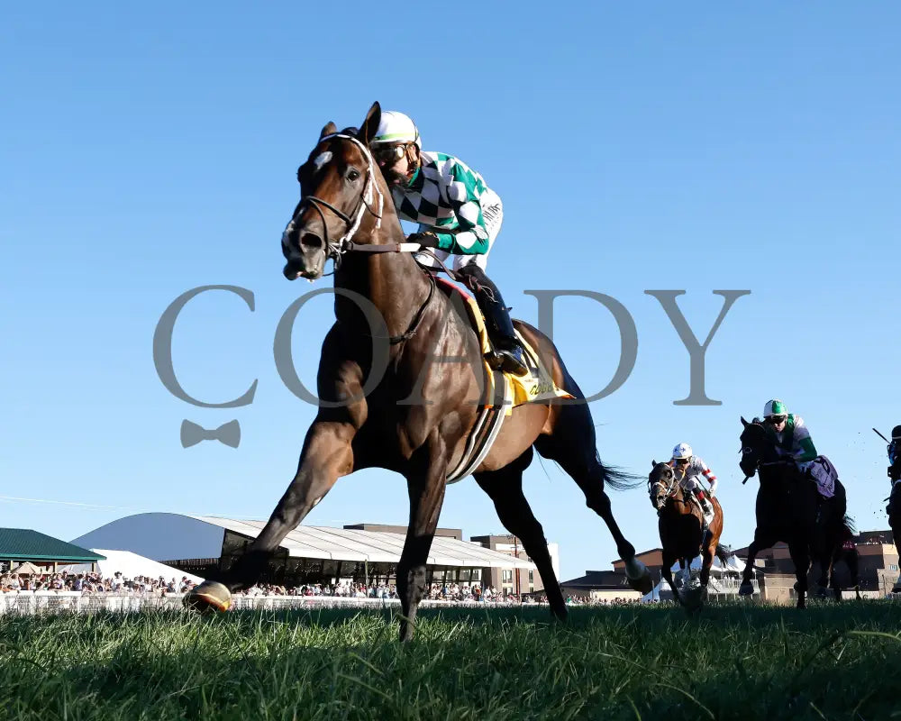 Cogburn - The Ainsworth Turf Sprint G2 09-07-24 R11 Kd Under Rail 02 Kentucky Downs