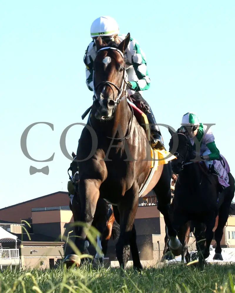 Cogburn - The Ainsworth Turf Sprint G2 09-07-24 R11 Kd Under Rail 04 Kentucky Downs