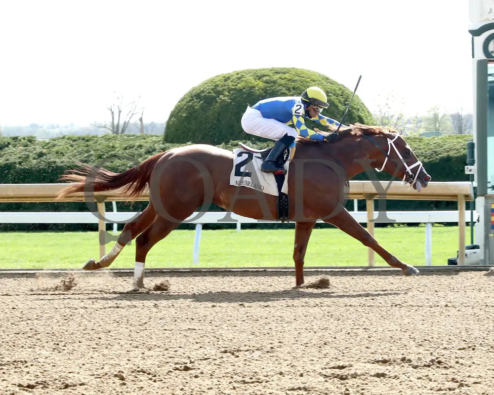 COLLOQUIAL - The Lafayette - 04-07-25 - R07 - KEE - Finish 01 Keeneland