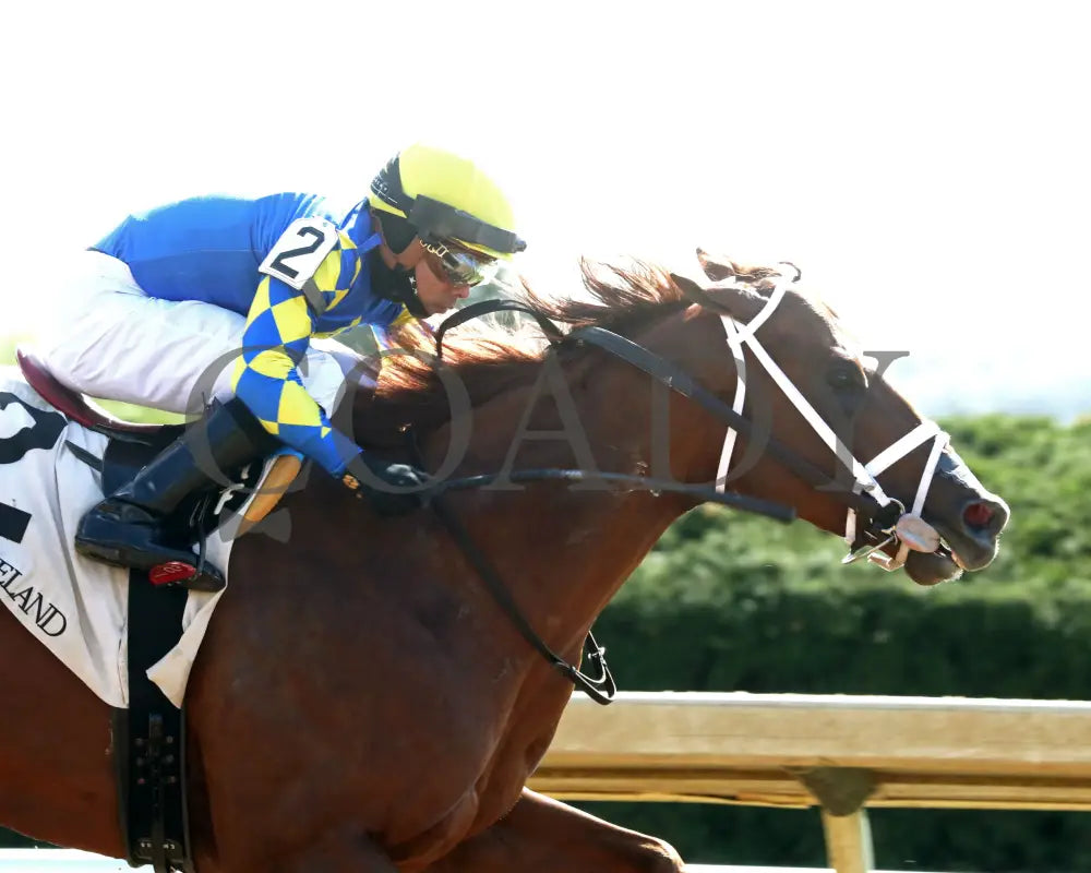 COLLOQUIAL - The Lafayette - 04-07-25 - R07 - KEE - Finish 03 Keeneland