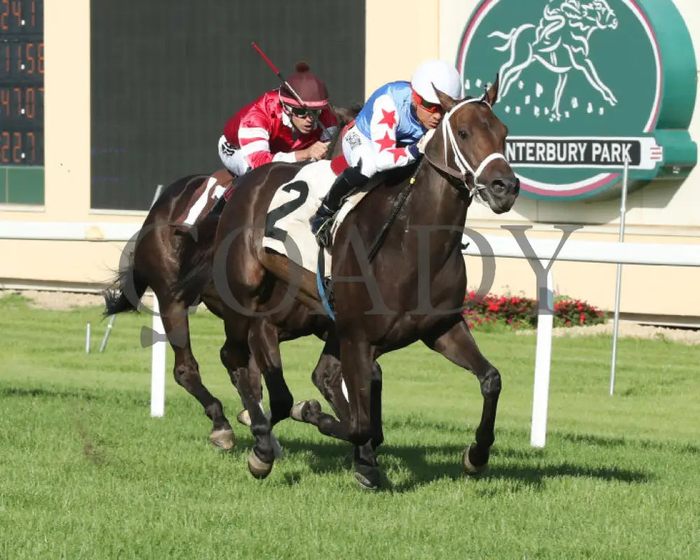 Commissioner Oscar - 08-10-24 R02 Cby Finish 3 Canterbury Park