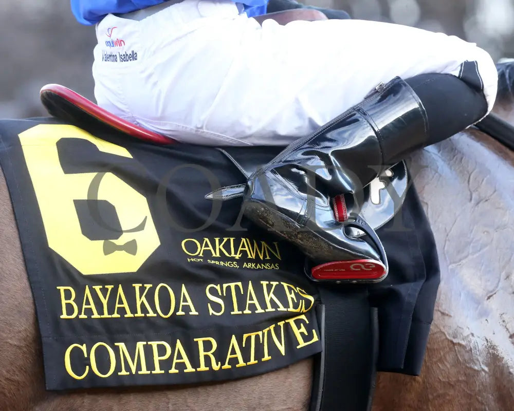 Comparative - Bayakoa Stakes G3 02-02-24 R09 Oaklawn Park Saddle Towel 01