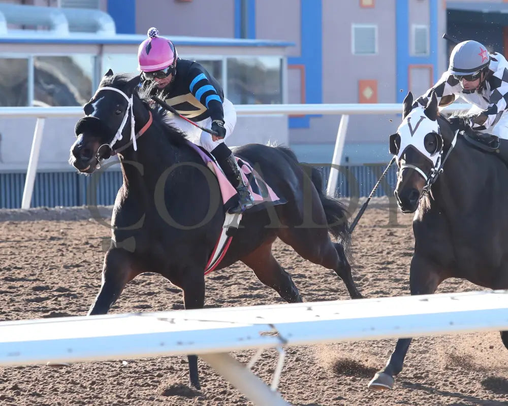 Competitive Idea - 33Rd Running Of The Klaq Handicap 01-05-24 R08 Sunland Park Inside Finish Zia