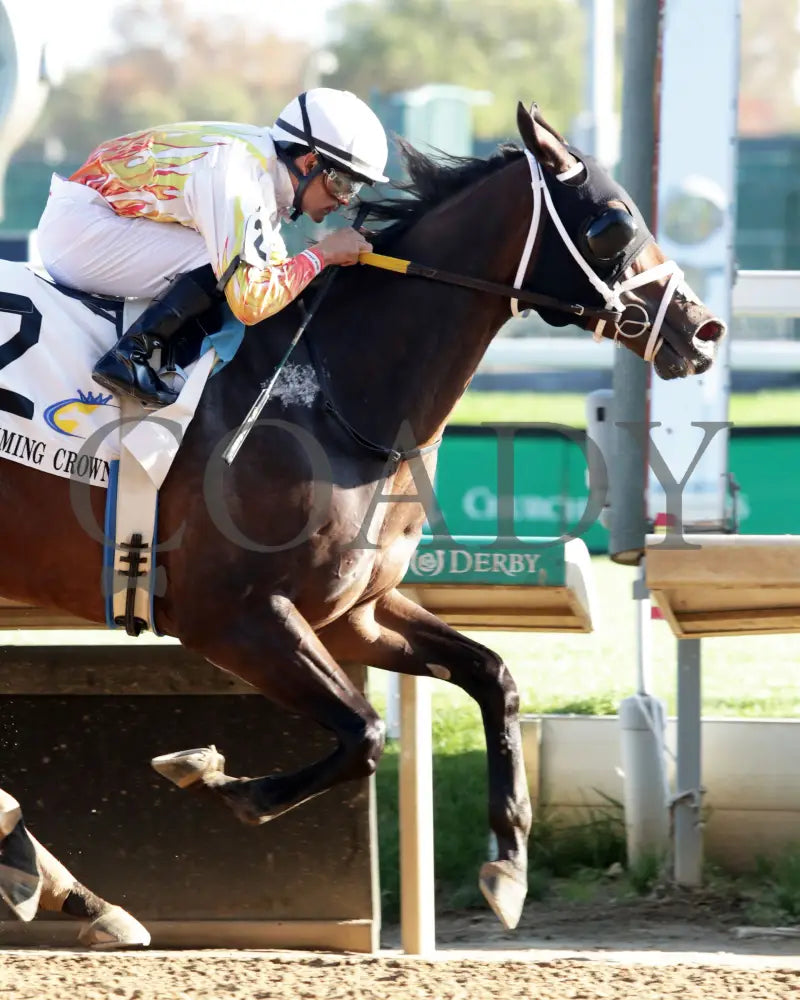 Concrete Glory - 111624 Race 06 Cd Finish 03 Churchill Downs