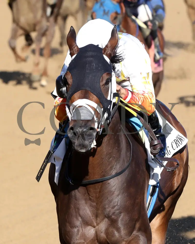 Concrete Glory - 111624 Race 06 Cd Inside Finish 01 Churchill Downs