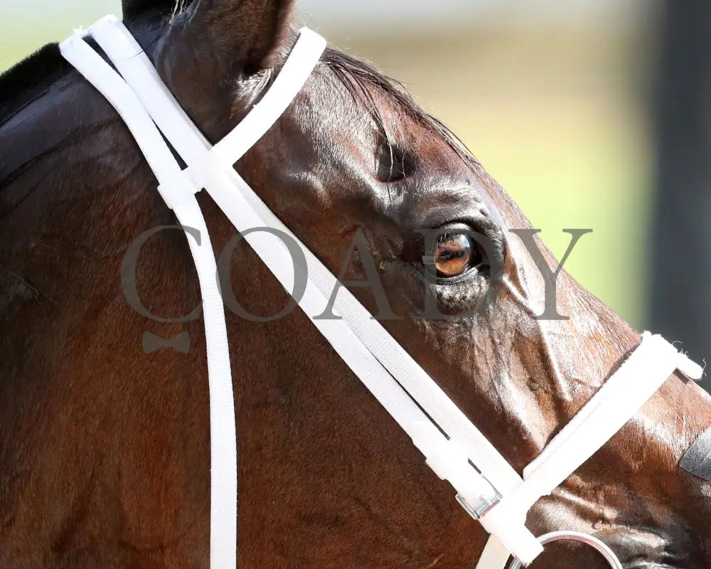 CONCRETE GLORY - The Ready's Rocket Express - 11-15-25 - R04 - CD - Come Back 01 - Coady Media - Kurtis Coady Photography