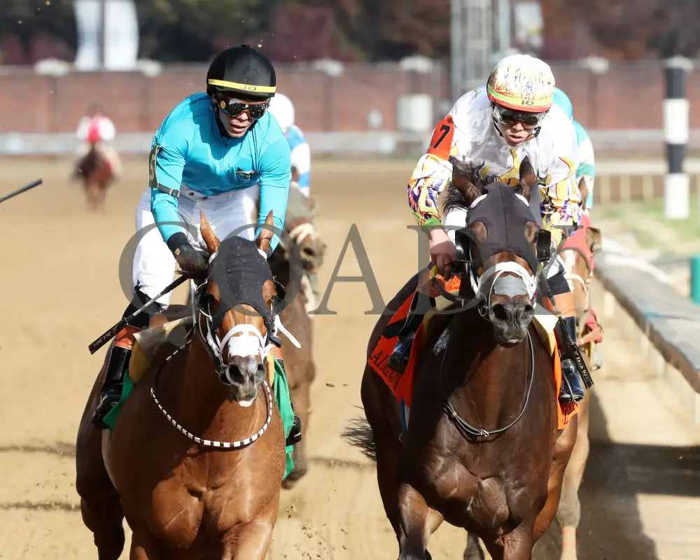 CONCRETE GLORY - The Ready's Rocket Express - 11-15-25 - R04 - CD - Gallop Out 01 - Coady Media - Kurtis Coady Photography
