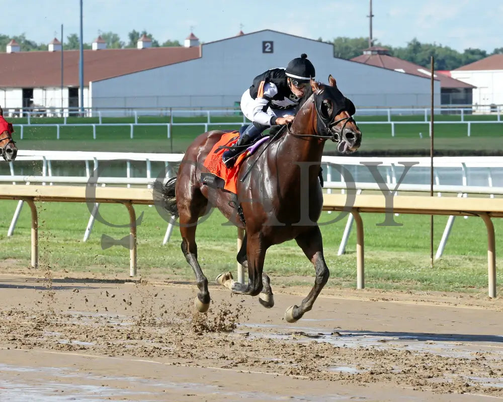 Coppola - William Garrett Handicap 4Th Running 07-05-24 R08 Horseshoe Indiana Finish 02 Sammantha