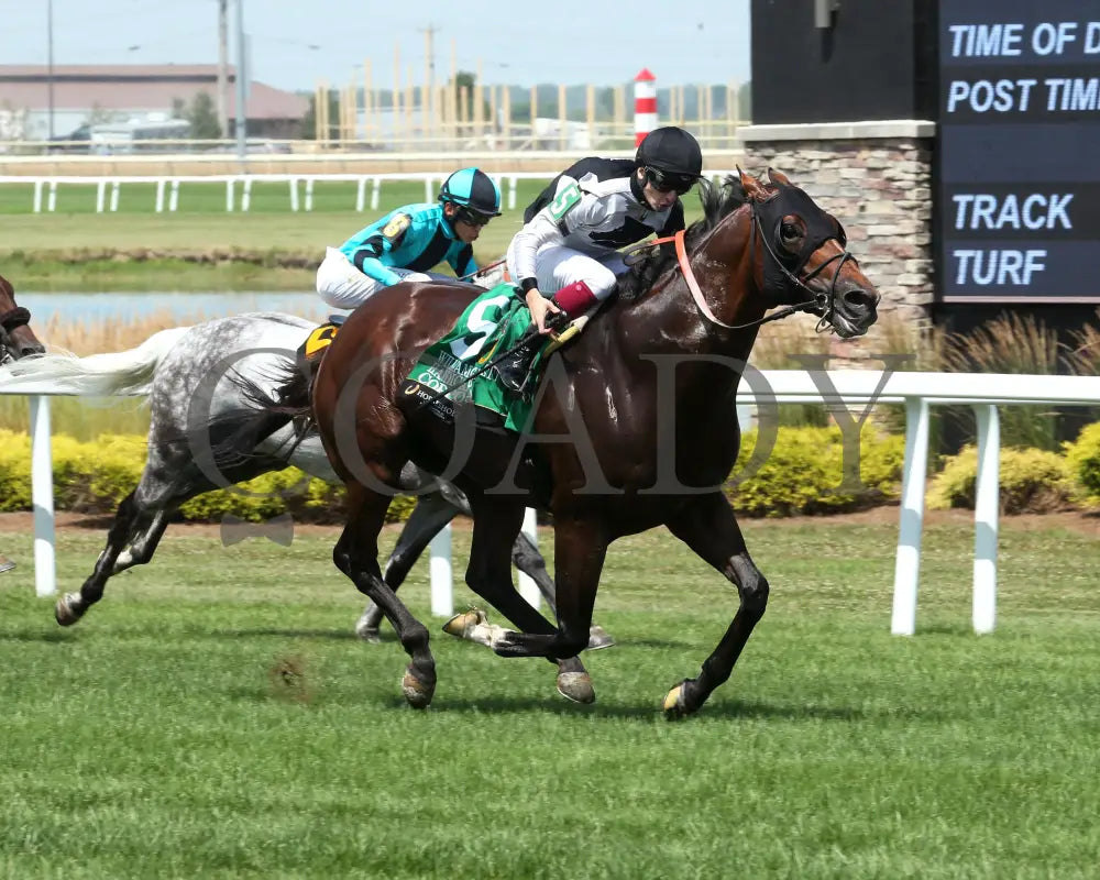 COPPOLA - William Garrett Handicap - 5th Running - 07-04-25 - R08 - Horseshoe Indiana - Finish 02 - Eli Davis Indiana