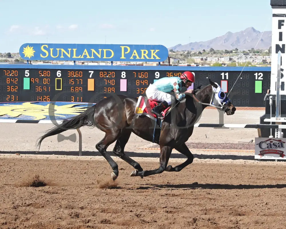 CORRINA CORRINA - New Mexico State University Stakes-22nd Running Action Turfway Park