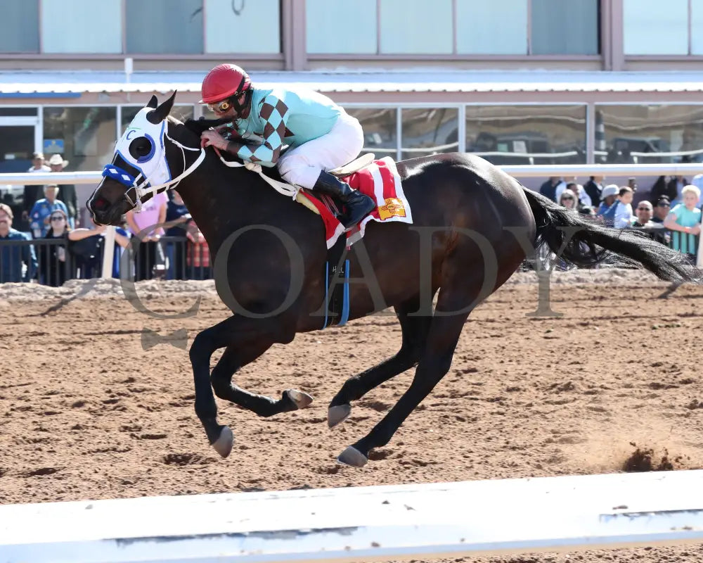 CORRINA CORRINA - New Mexico State University Stakes-22nd Running inside finish Turfway Park