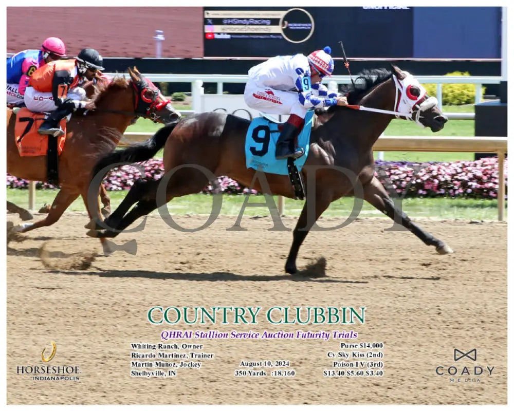Country Clubbin - Qhrai Stallion Service Auction Futurity Trials 08-10-24 R05 Ind Action Indiana