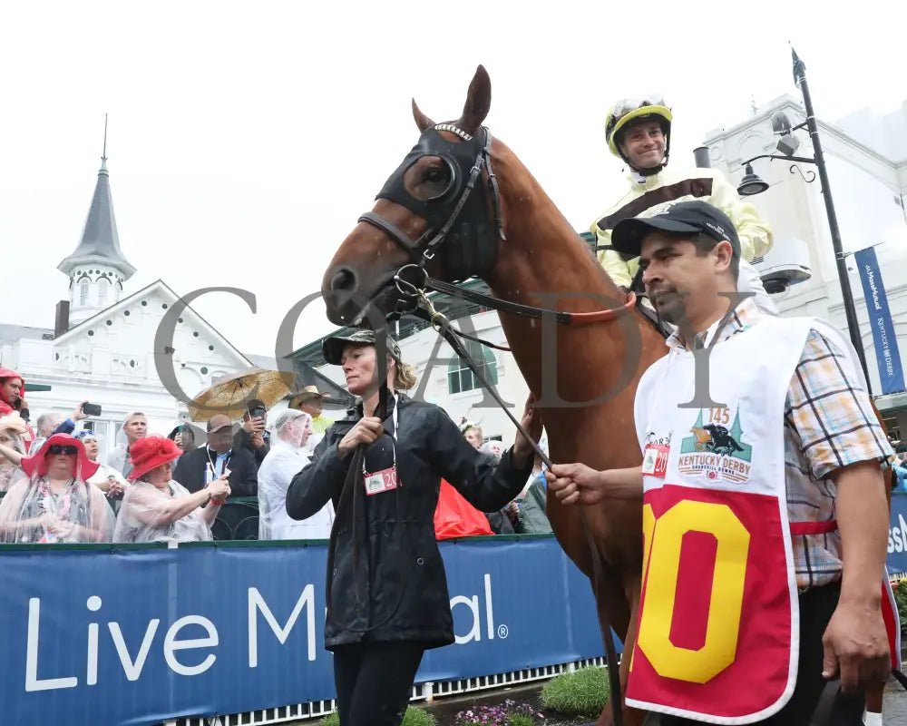 Country House - The Kentucky Derby 145Th Running 05-04-19 R12 Cd Paddock 02 Churchill Downs