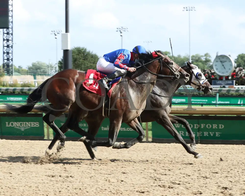 Crafty Daddy - Opening Verse Overnight Stakes 14Th Running 09-03-20 R08 Cd Finish 01 Churchill Downs