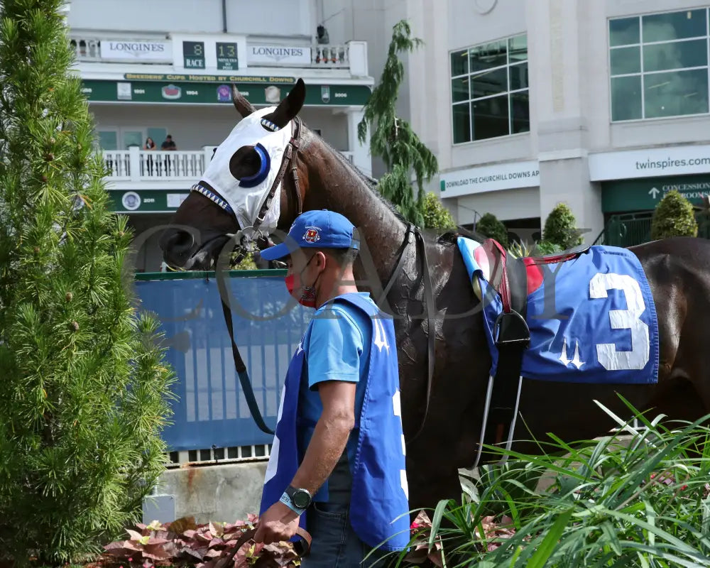 Crafty Daddy - Opening Verse Overnight Stakes 14Th Running 09-03-20 R08 Cd Paddock 02 Churchill