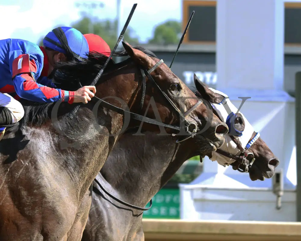 Crafty Daddy - Opening Verse Overnight Stakes 14Th Running 09-03-20 R08 Cd Tight Finish 01