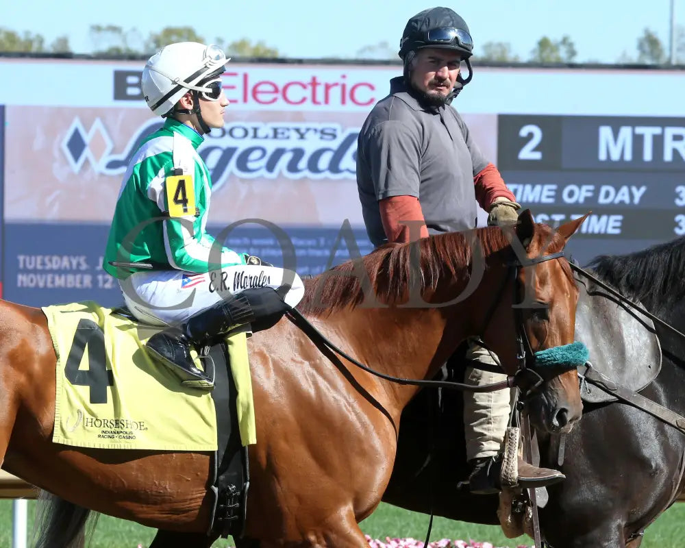 Crosley - Itoba Stallion Season Fillies 10-02-24 R04 Horseshoe Indiana Post Parade 02 Sammantha