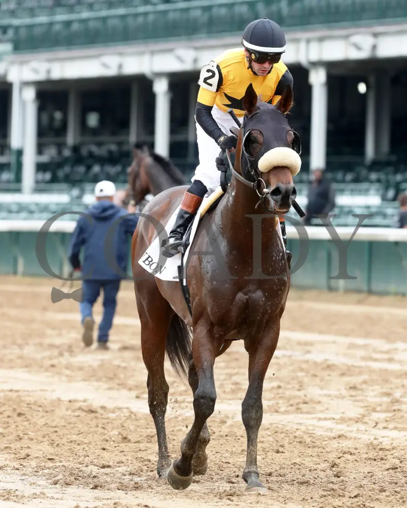 Cugino - The Audubon 5Th Running 06-01-24 R11 Cd Come Back 01 Churchill Downs