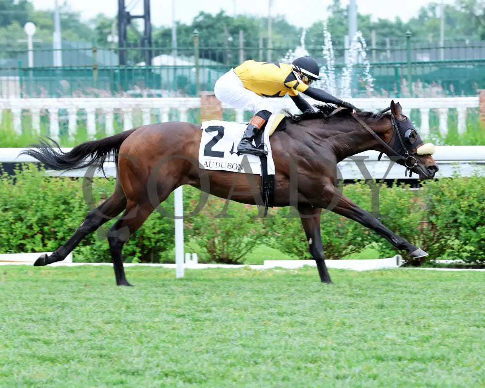 Cugino - The Audubon 5Th Running 06-01-24 R11 Cd Finish 03 Churchill Downs
