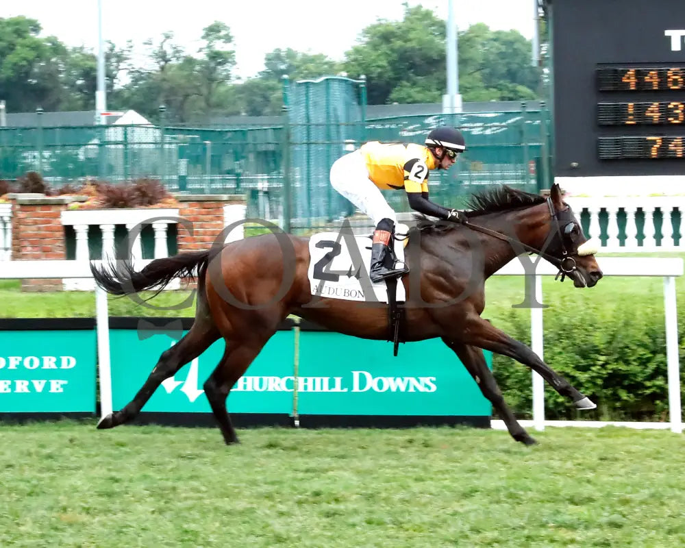 Cugino - The Audubon 5Th Running 06-01-24 R11 Cd Finish 01 Churchill Downs