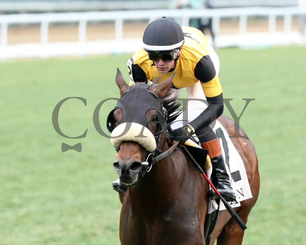 Cugino - The Audubon 5Th Running 06-01-24 R11 Cd Inside Finish 01 Churchill Downs