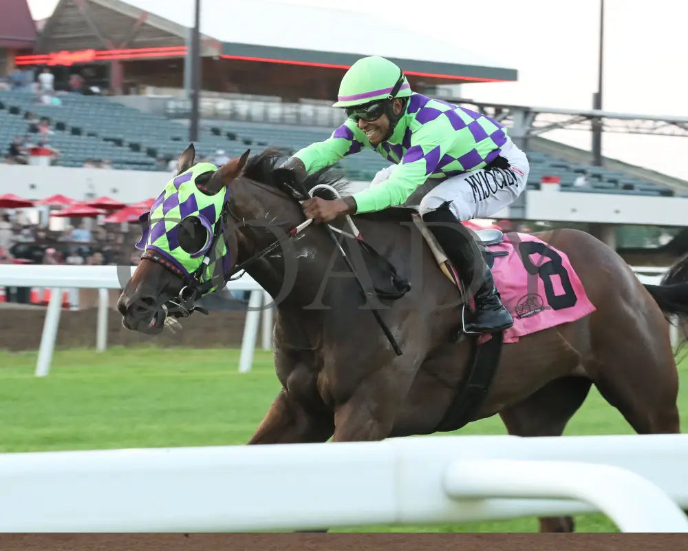 Cupids Crush - Mr Dale Filly & Mare Turf Sprint 07-13-24 R07 Canterbury Park Inside Finish