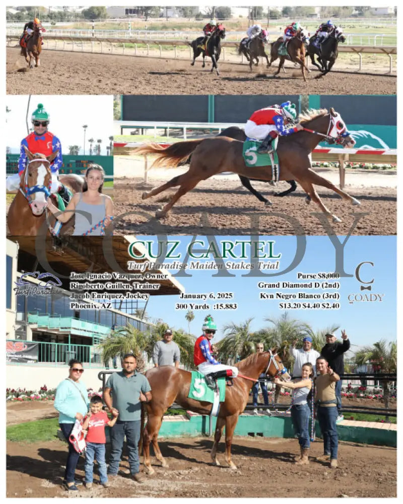 Cuz Cartel - Turf Paradise Maiden Stakes Trial 01-06-25 R01 Tup