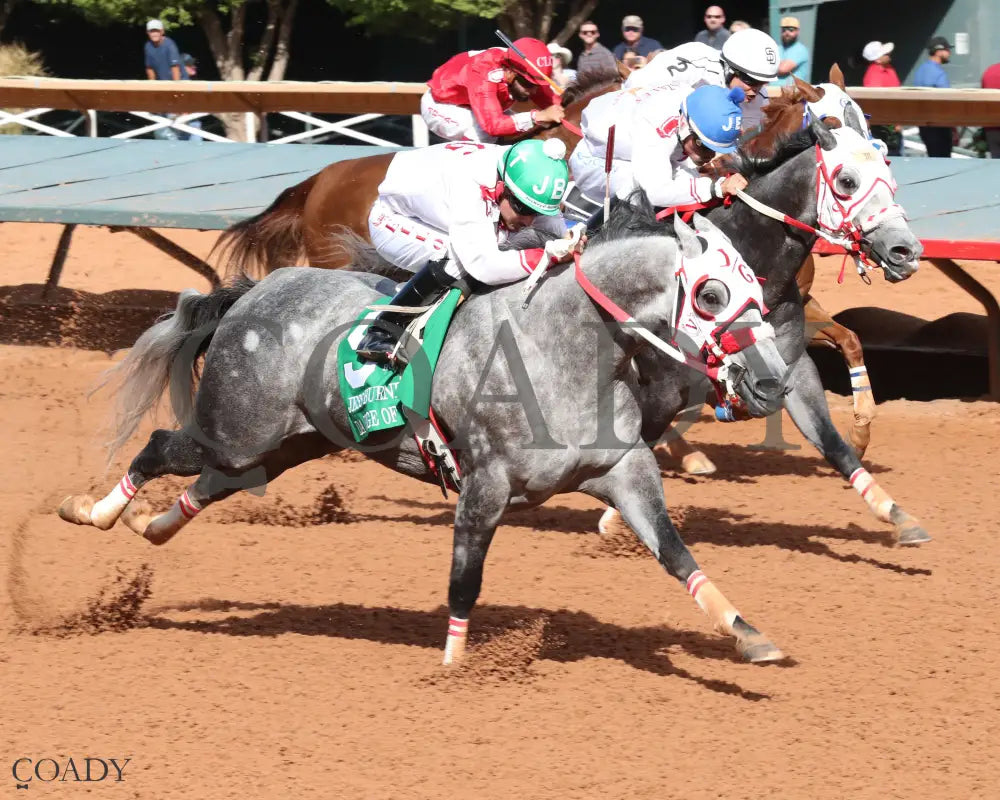 DA EDGE OF GRAY - Jess Burner Stakes - 06-01-25 - R10 - Ruidoso Downs - Finish 2 - Mark Flanders Ruidoso Downs