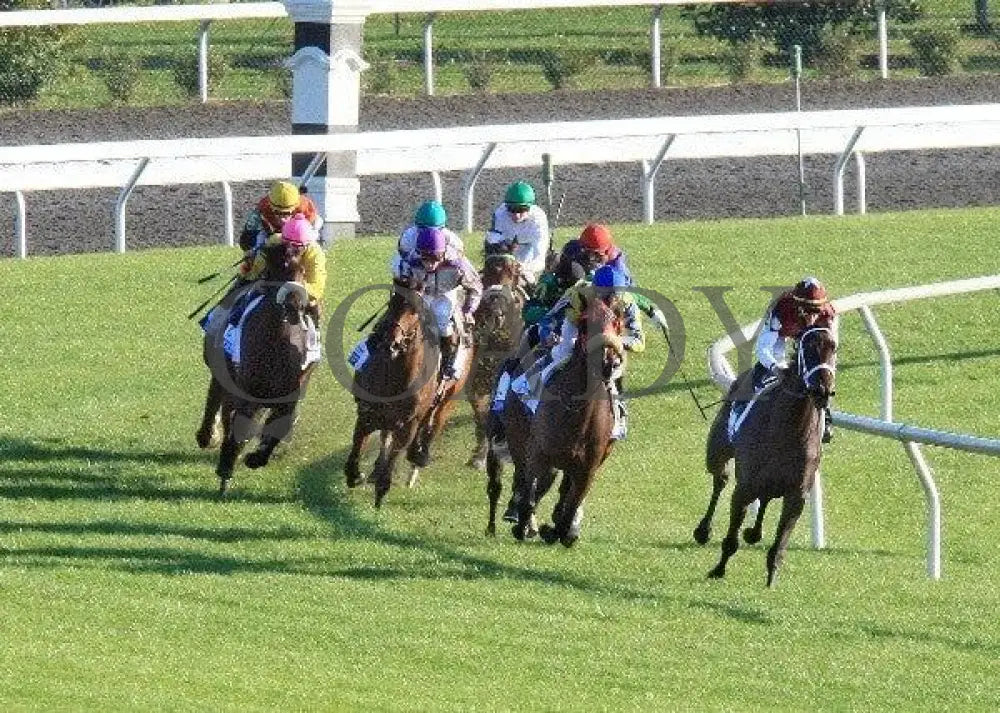 Daisy Devine - Turn 102111 Race 09 Keeneland