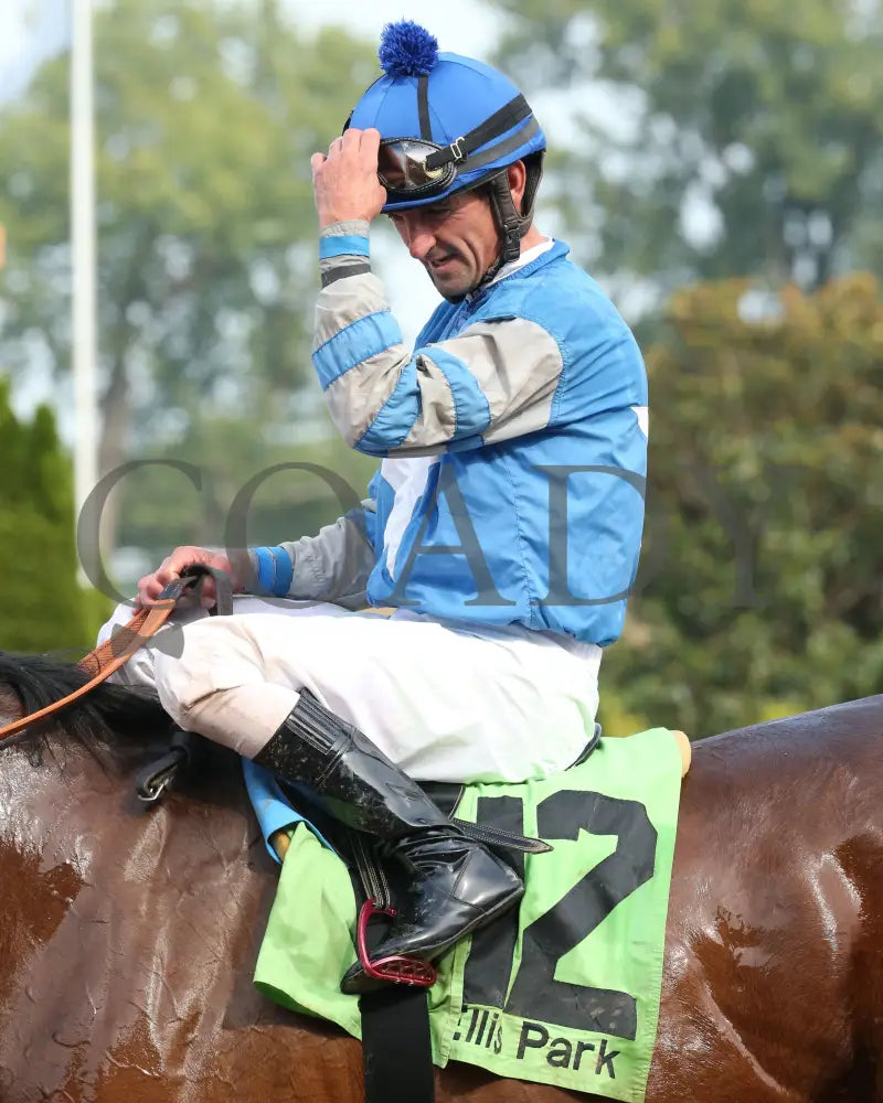 Dak Attack - 082017 Race 08 Elp Comeback Ellis Park