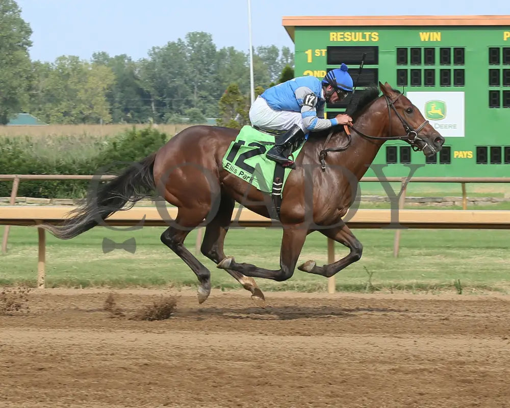 Dak Attack - 082017 Race 08 Elp Finish Ellis Park