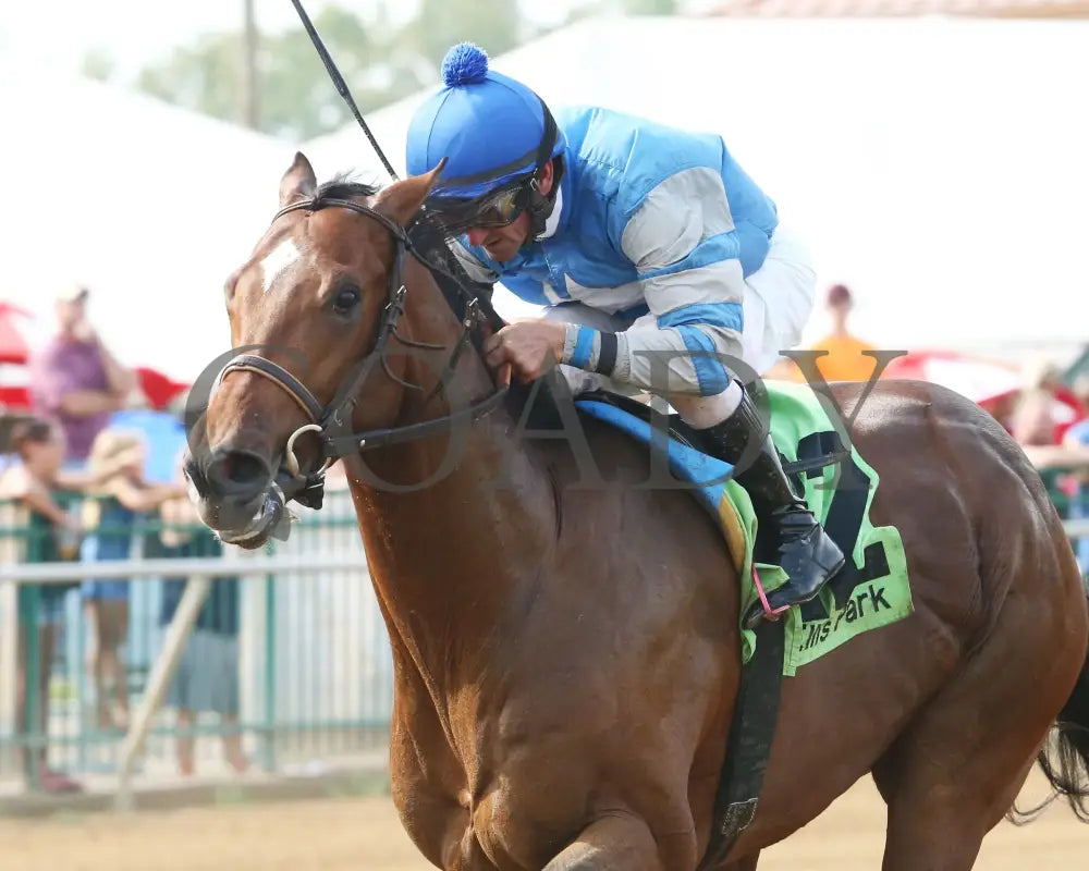 Dak Attack - 082017 Race 08 Elp Inside Finish Ellis Park