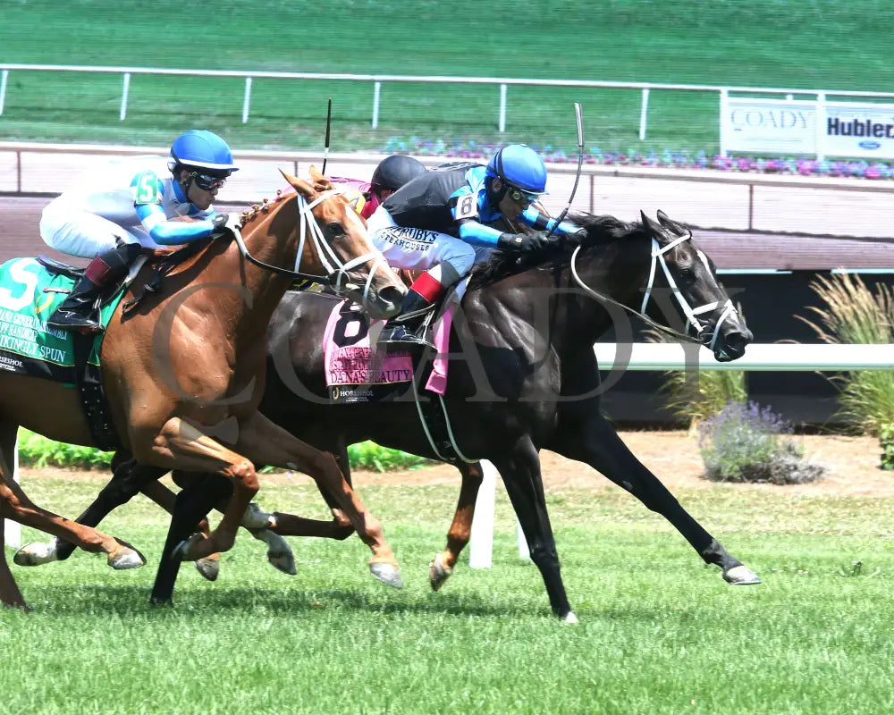 DANA’S BEAUTY - Indiana General Assembly Distaff Handicap - 07-05-25 - R05 - Horseshoe Indiana - Finish 03 - Eli Davis