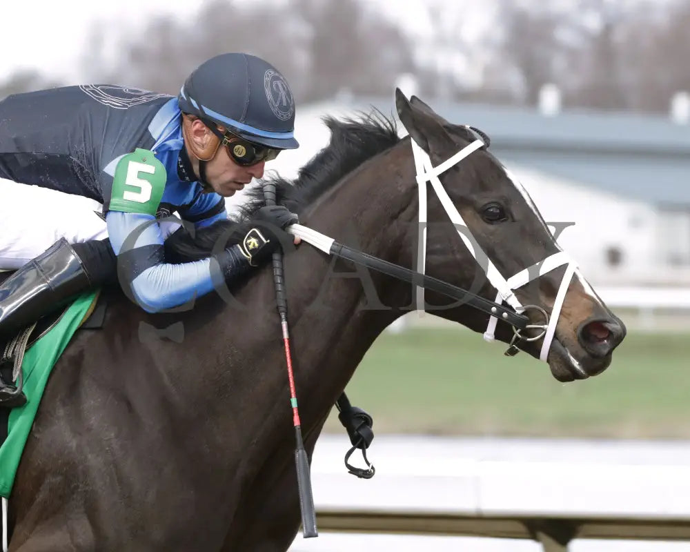 DANA’S BEAUTY - LATONIA STAKES - 43rd Running - 03-22-25 - R07 - Turfway Park - Finish 03 Turfway Park