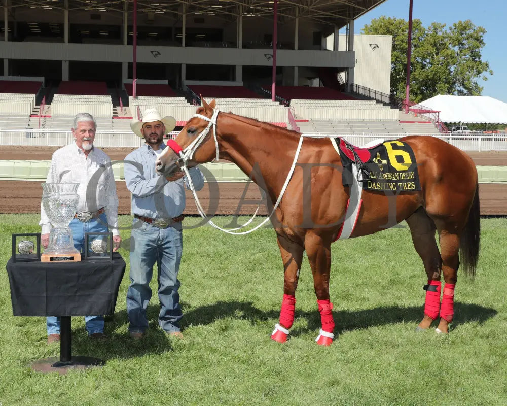 Dashing Tres - All American Quarter Horse Derby 09-02-24 R10 The Downs At Albuquerque 005