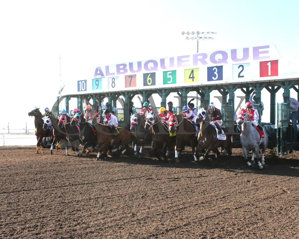 Dashing Tres - All American Quarter Horse Derby 09-02-24 R10 The Downs At Albuquerque Start 01