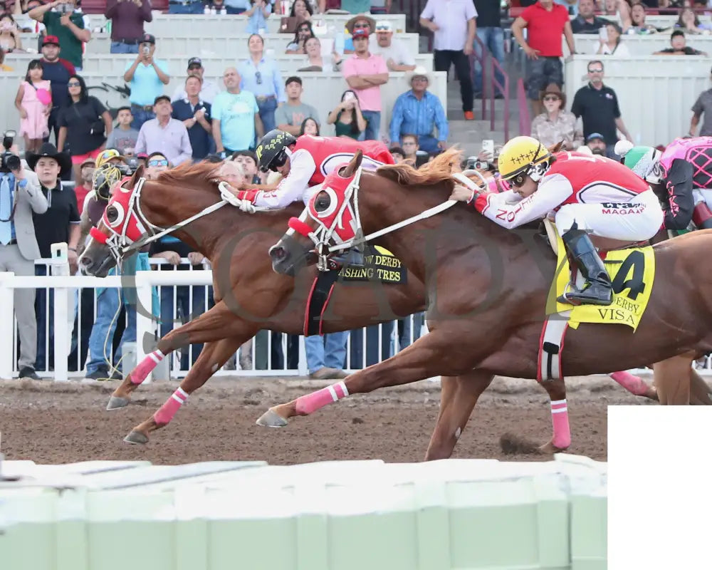 Dashing Tres - Rainbow Quarter Horse Derby G1 07-27-24 R11 The Downs At Albuquerque Inside Finish 2