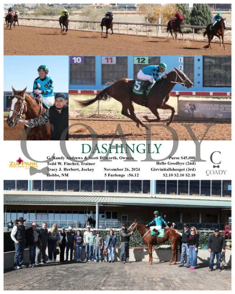 Dashingly - 11-26-24 R01 Zia Zia Park
