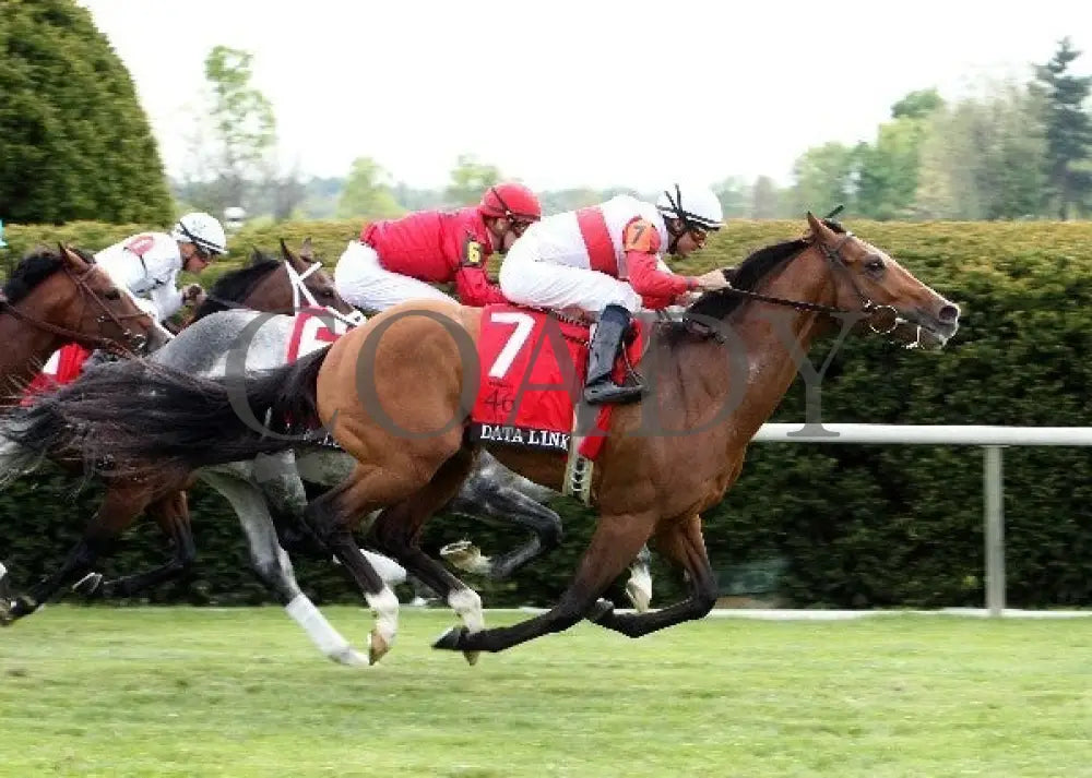 Data Link - 041312 Race 09 Fin Keeneland